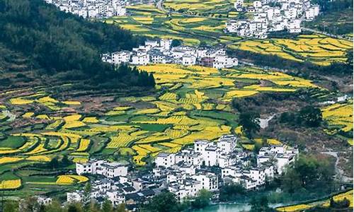 婺源旅游几月份去最好_婺源旅游攻略三日游