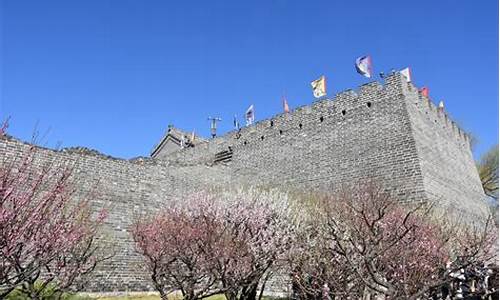 北京明城墙遗址公园梅花节_明城墙遗址公园梅花节几号到几号结束