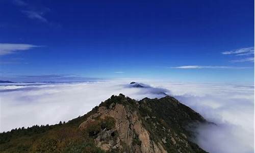 白草畔自然风景区60岁以上免票政策_白草