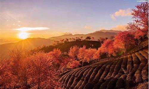 1月适合去哪里玩_1月适合去哪里旅游呢