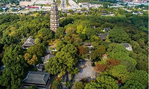 虎丘风景区植物归纳介绍作文_虎丘风景区植物归纳介绍