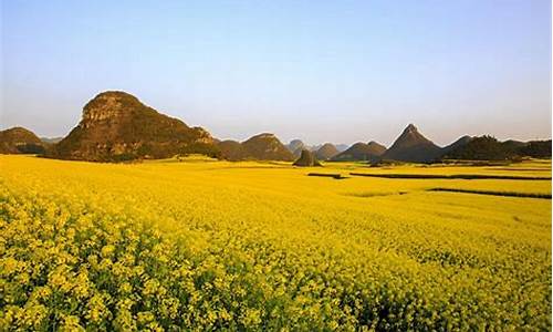 春季旅游景点免票吗_旅游景点春节免费吗