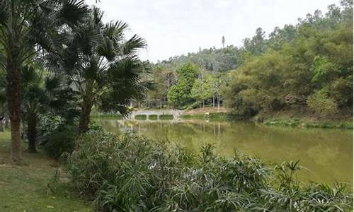 龙岗龙城公园哪一年建的_龙岗龙城公园在哪