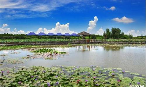 广州市南沙湿地公园_广州市南沙湿地公园门票