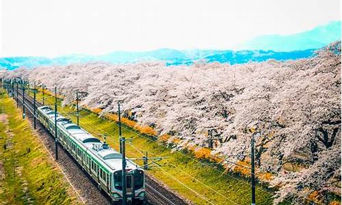 日本仙台旅游攻略_日本仙台是个怎样的城市