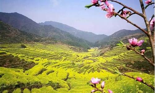 婺源油菜花最佳时间黄山景点_婺源油菜花最佳时间2021