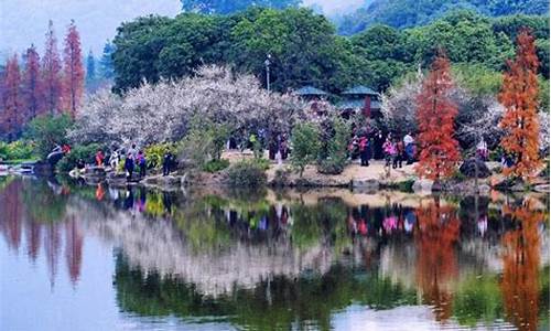 春节带孩子旅游好去处排行榜_春季旅游景点推荐带孩子玩的地方