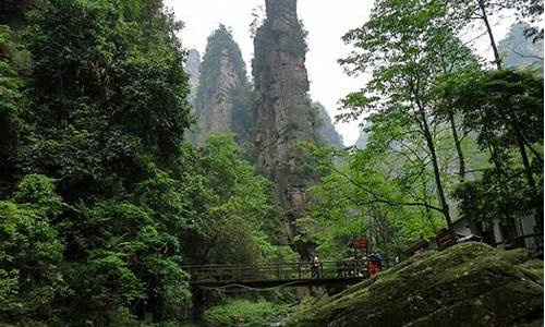 武汉至张家界旅游_从武汉到张家界旅游