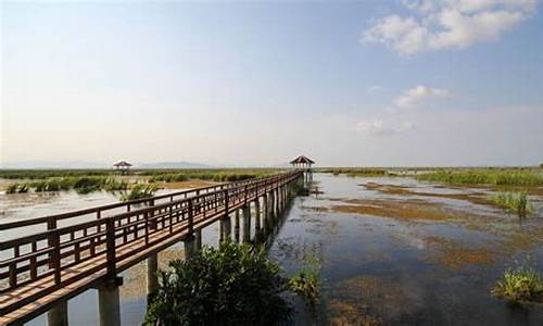 崇明岛自驾一日游怎么玩最好_崇明岛自驾一日游