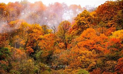 光雾山红叶节_光雾山红叶节攻略