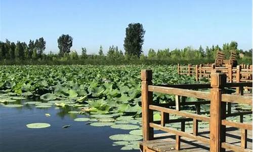 野鸭湖国家湿地公园有什么好玩的_野鸭湖湿地公园最佳观鸟期